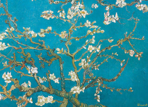 Almond Blossom