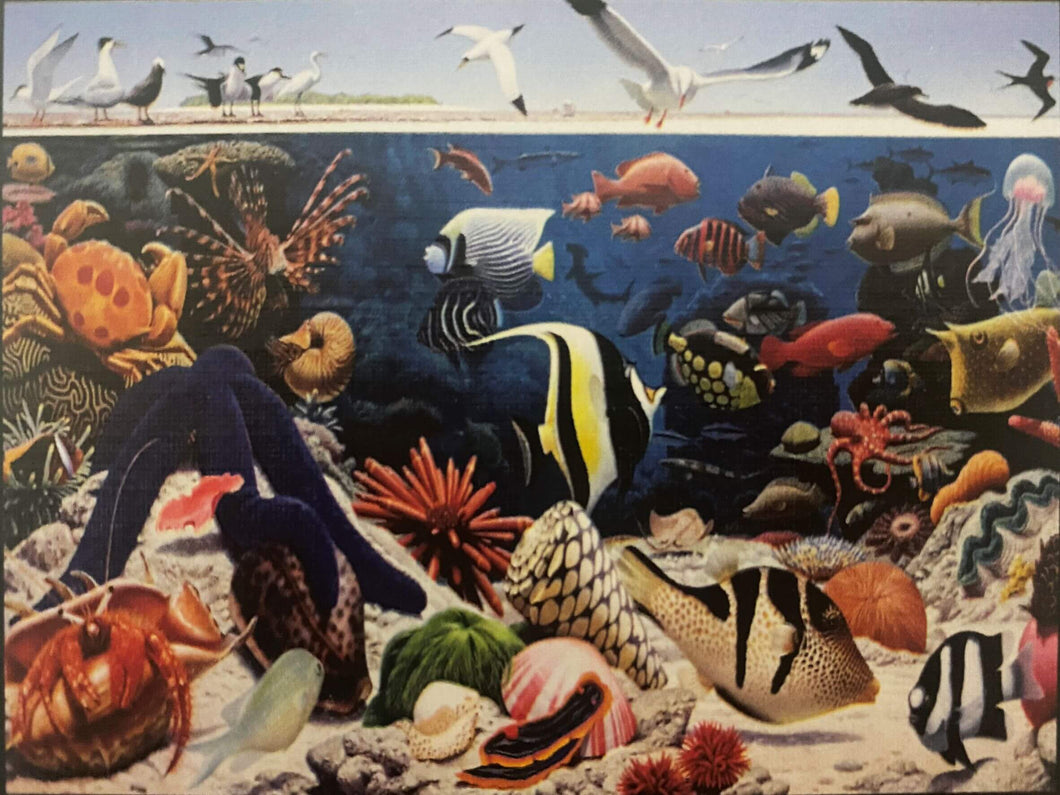 Ocean Life
