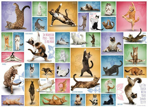 Get in Touch with Your Inner Kitty