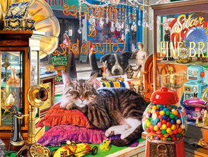 Curiosity Shop Cat