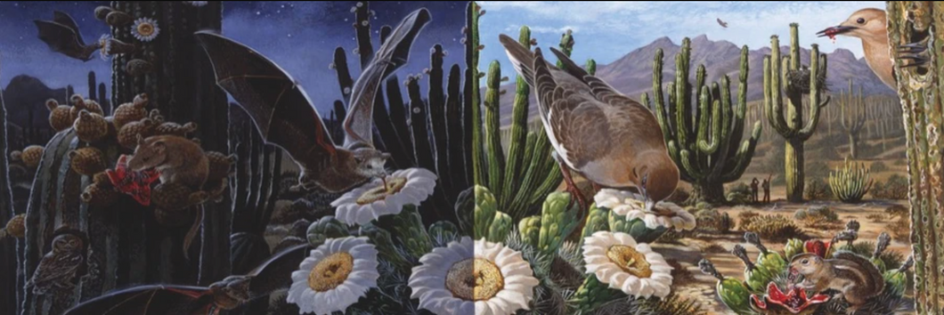 Desert Ecosystem