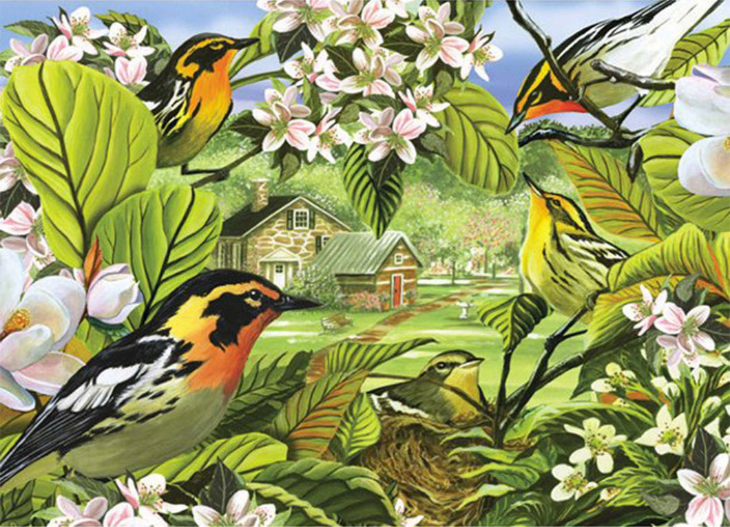 Blackburnian Warblers