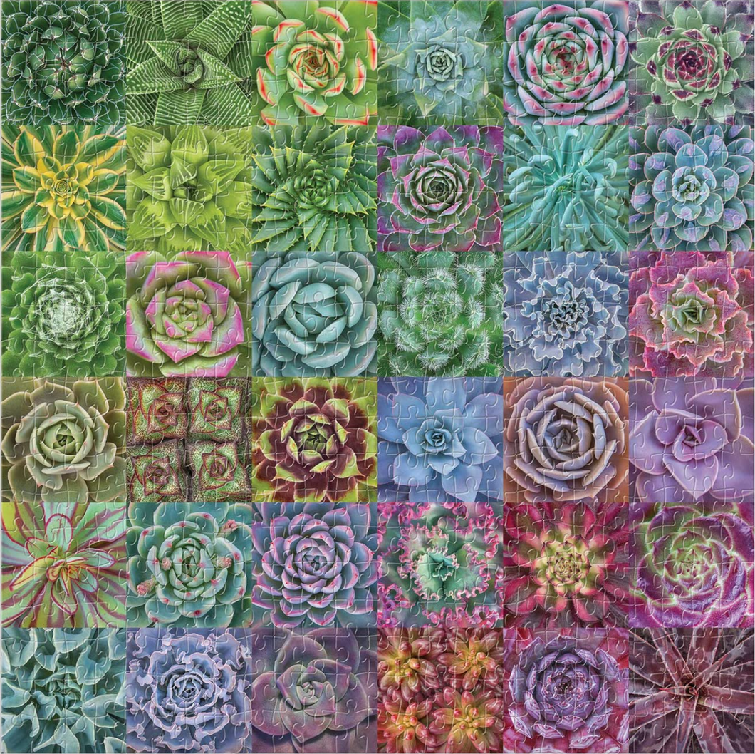 Succulent Spectrum