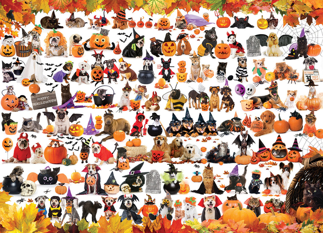 Halloween Pets