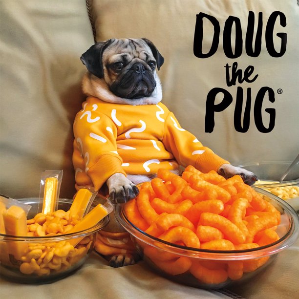 Doug the Pug