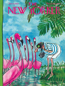 Flamingo Photographer