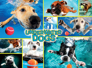 Underwater Dogs