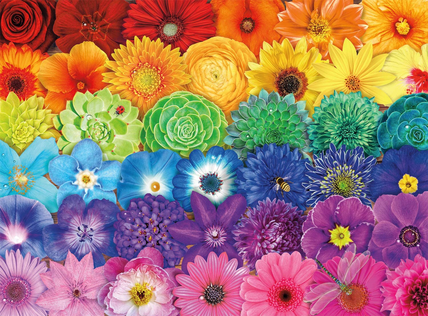 Flower Spectrum
