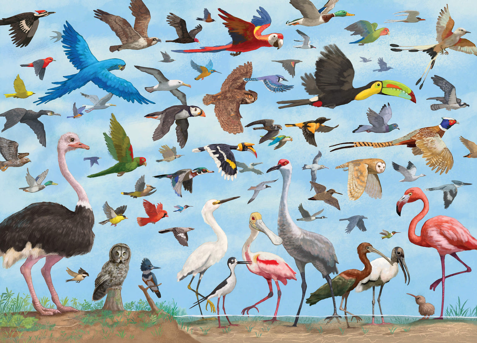 All the Birds