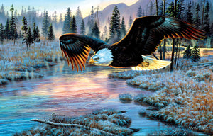 Eagle Dawn